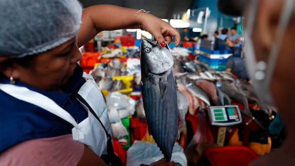 Semana Santa: Precio de pescado en víspera del jueves Santo