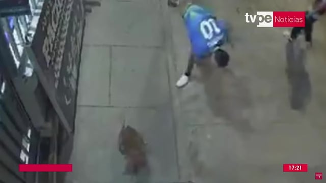 Piura: sujeto ataca a mascota de una pedrada en la cabeza