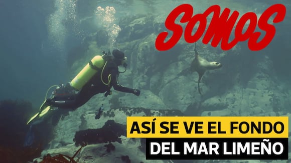 Así se ve el fondo marino limeño y esto es lo que necesitas para saber bucear