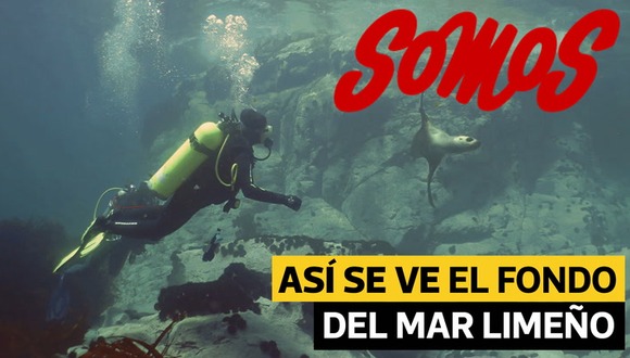 Así se ve el fondo marino limeño y esto es lo que necesitas para saber bucear