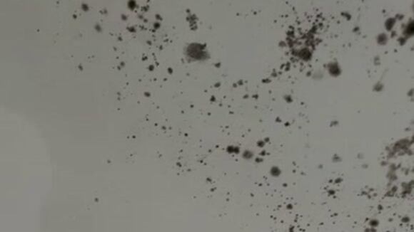 Edificio afectado por las lluvias