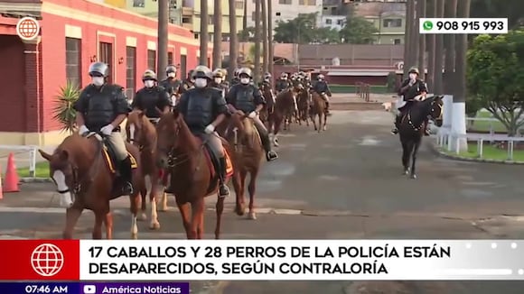 La desaparición de 17 caballos y 28 perros de la PNP es un caso que ha genera gran preocupación