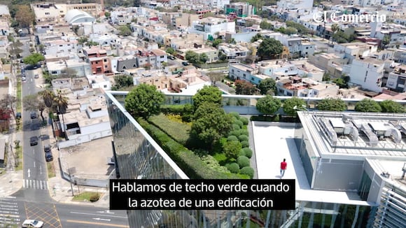 Techos verdes: los nuevos pulmones que emergen en lo más alto de la ciudad