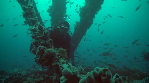 03959b0e-2ba3-4e9d-a9b1-994ca1de80bf