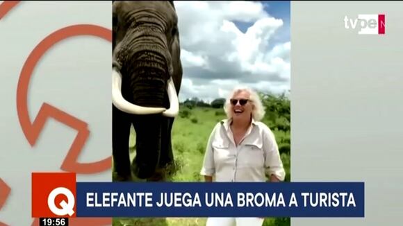 Viral: Elefante bromea con turista
