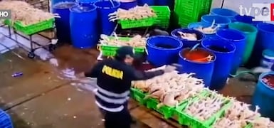 Noticias Patrocinadas