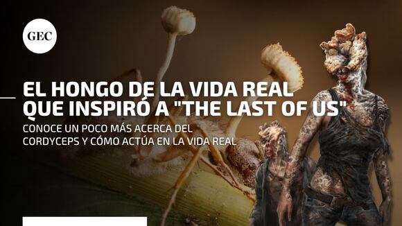 Cordyceps: el hongo de "The Last of Us" es real y esto es lo que provoca