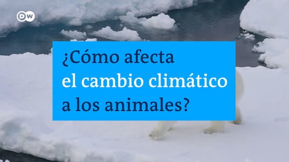 El cambio climático y sus efectos