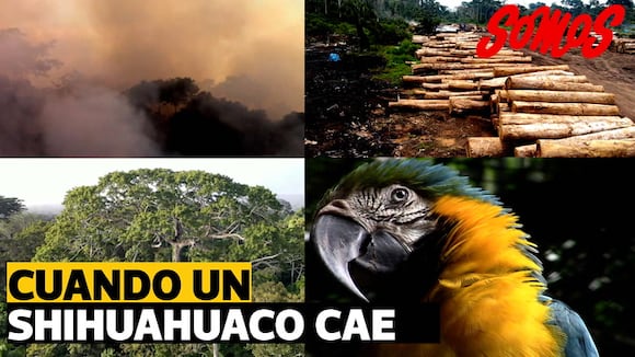 900 años hechos parquet