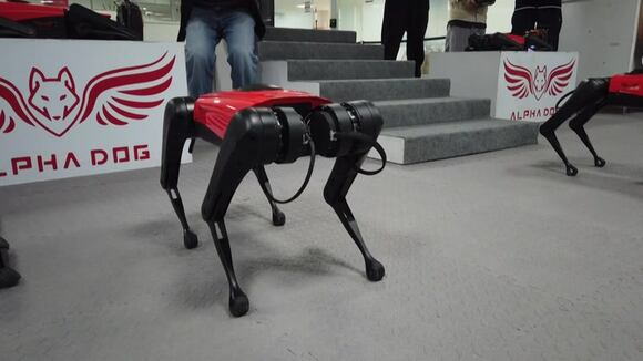 Los perros-robot, el último grito tecnológico en China