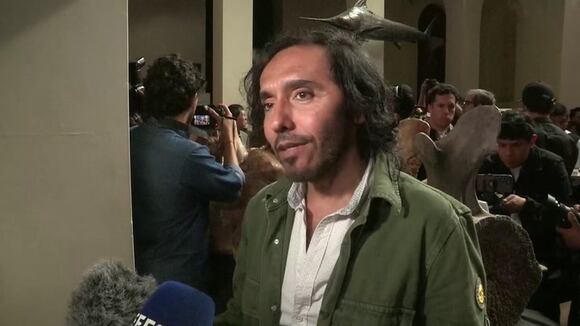 Una antigua y colosal ballena desafía el título de "animal más pesado" a la ballena azul