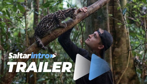 Saltar Intro | Tráiler de "Wildcat". (Fuente: Prime Video)