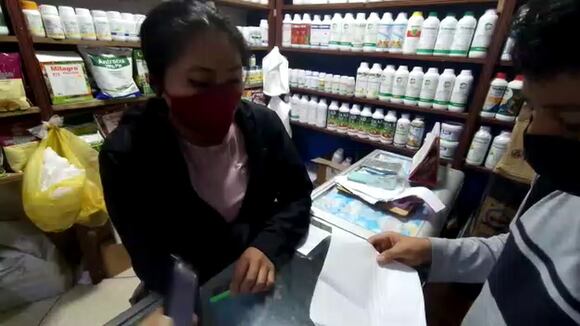 Corresponsales escolares entrevistan sobre deforestación