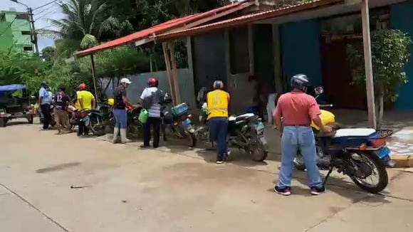 Madre de Dios - grifos