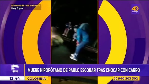Hipopótamo de Pablo Escobar