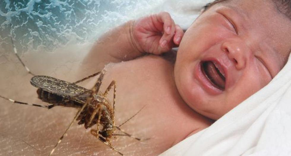 El virus se ha asociado hasta ahora con casos de microcefalia y daños cerebrales en los niños. (Foto:IStock)