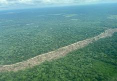 Colombia: vías ilegales dejan 900 hectáreas de deforestación en territorios indígenas y un parque nacional