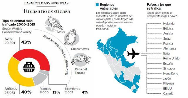 Tráfico de animales silvestres: 67 mil sacados en 15 años - 2