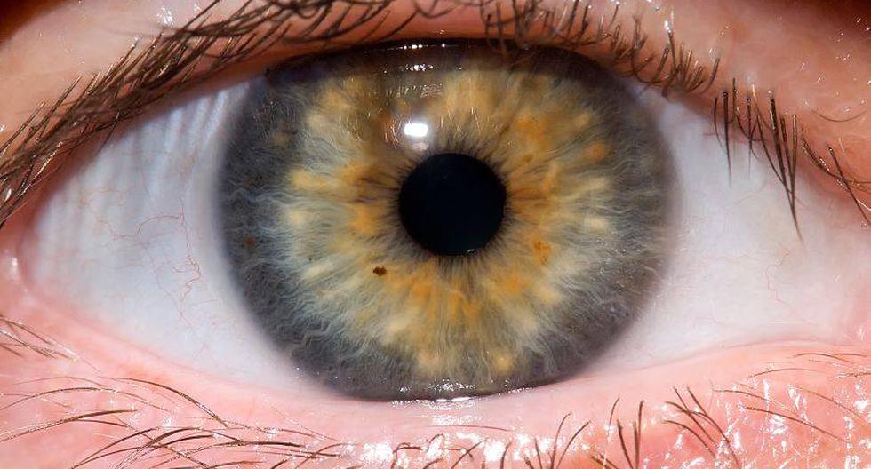 Los daños a la córnea son algunos de las principales causas de la ceguera. (Foto: e_monk/Flickr)