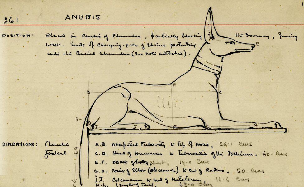 Howard Carter's drawing of a statue of Anubis.  (HARRY BURTON/GRIFFITH INSTITUTE, UNIV. OF OXFORD).