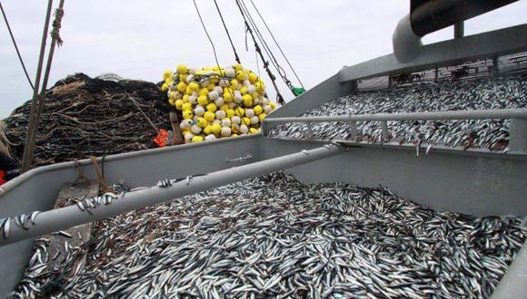 El sector depende de la captura de anchoveta. (Foto: GEC)