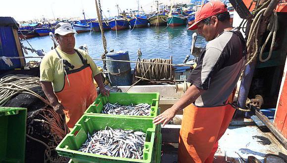 Temporada de pesca de anchoveta se iniciará el 26 de marzo