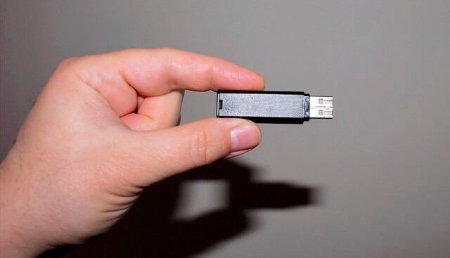 Científicos buscan a los dueños de un video encontrado en un USB en el interior de las heces de una foca. (Pixabay)