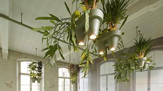 Bucketlight: ilumina tu casa de manera ecológica
