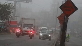 Primavera en Lima: estación iniciará esta noche con neblina y cielo cubierto durante las primeras semanas 
