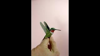 Facebook: esculpe aves realistas con alas de papel (FOTOS)