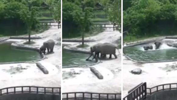 Una cría de elefante se estaba ahogando y dos adultos fueron a salvarla de inmediato. (Foto: YouTube)