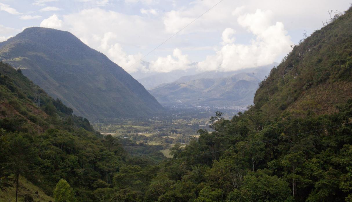 Parque Nacional Yanachaga Chemillén. Cuenta con una superficie de 122 mil hectáreas y se encuentra en los distritos de Oxapampa, Huancabamba, Pozuzo, Villa Rica y Palcazú. (Foto: PromPerú)