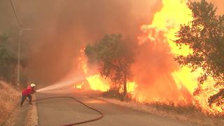 Portugal: 11 incendios forestales y 1.600 bomberos movilizados para controlarlos[VIDEO]