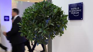 ¿Por qué en Davos todo el mundo quiere plantar árboles?
