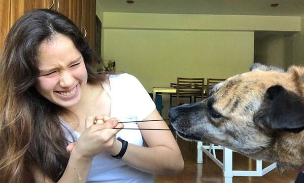 Y así el juego puede seguir por un buen rato.