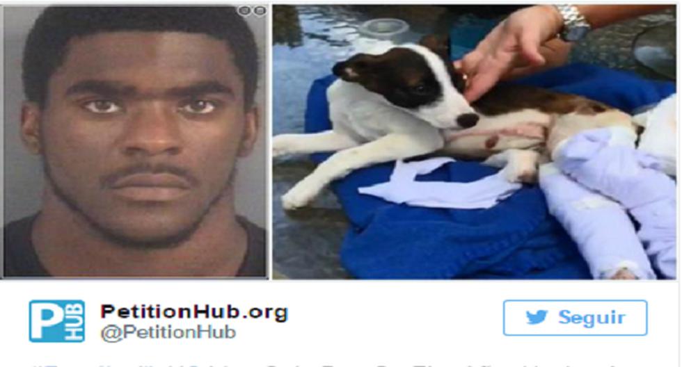 James Franklin Quick, de 23 años, fue acusado de lastimar a Cocoa, el perro de Dominique Clark, el domingo. (Foto: Twitter)