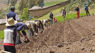 Midagri inicia registro para entrega de subvención económica a 300.000 agricultores ¿Cómo puedo acceder a una?