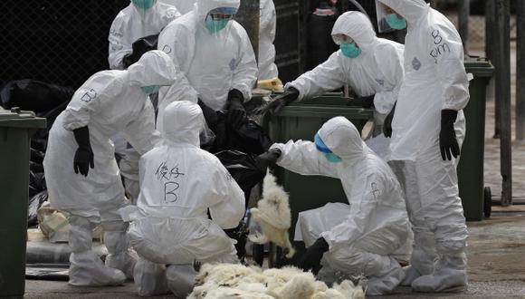China redobla seguridad ante nueva cepa de gripe aviar