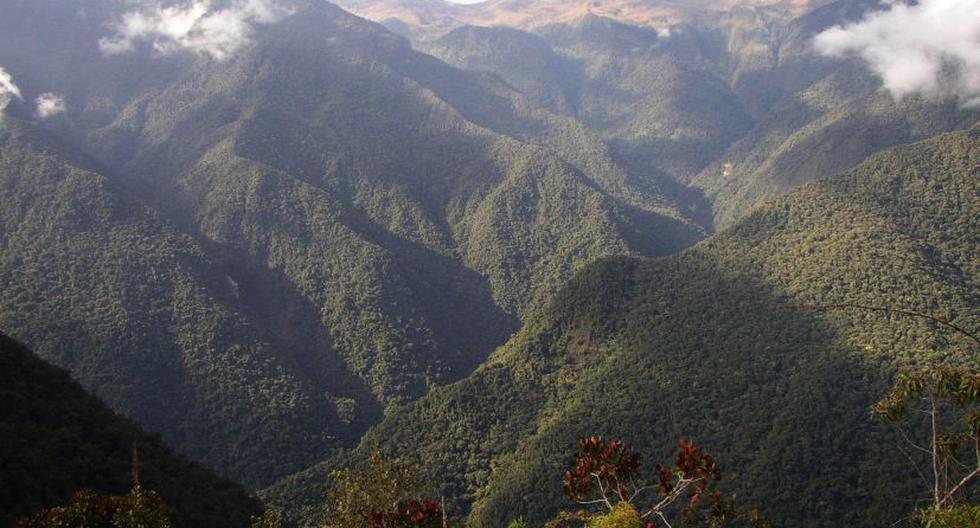 Área se ubica a 5.600 metros de altura, y alberga más de 130 especies de plantas. (Foto referencial: EFE)  