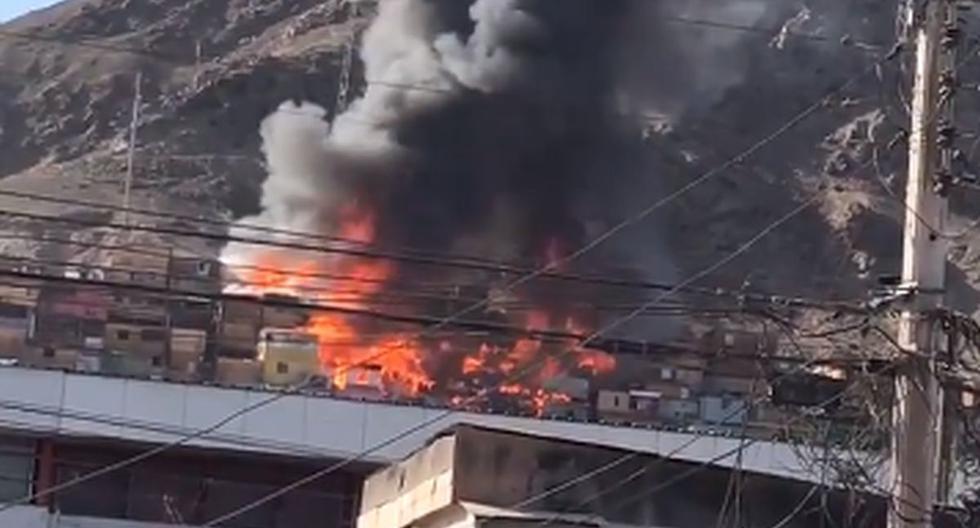 At least 20 homes affected by a fire camp in Chile |  VIDEOS