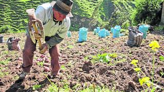 Agricultores peruanos apuntan al mercado italiano tras firma de convenio