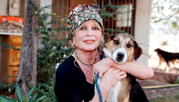 Brigitte Bardot: "Estaba harta de la vida superficial y vacía"