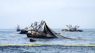 BCP: Segunda temporada de pesca aportará 0,8 puntos al PBI del cuarto trimestre