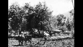 ¿Sabías que en 1930 se celebró el primer Día del Campesino?