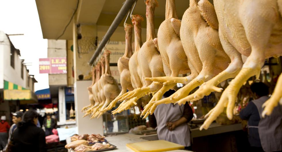 Perú cierra sus fronteras a exportaciones avícolas ...