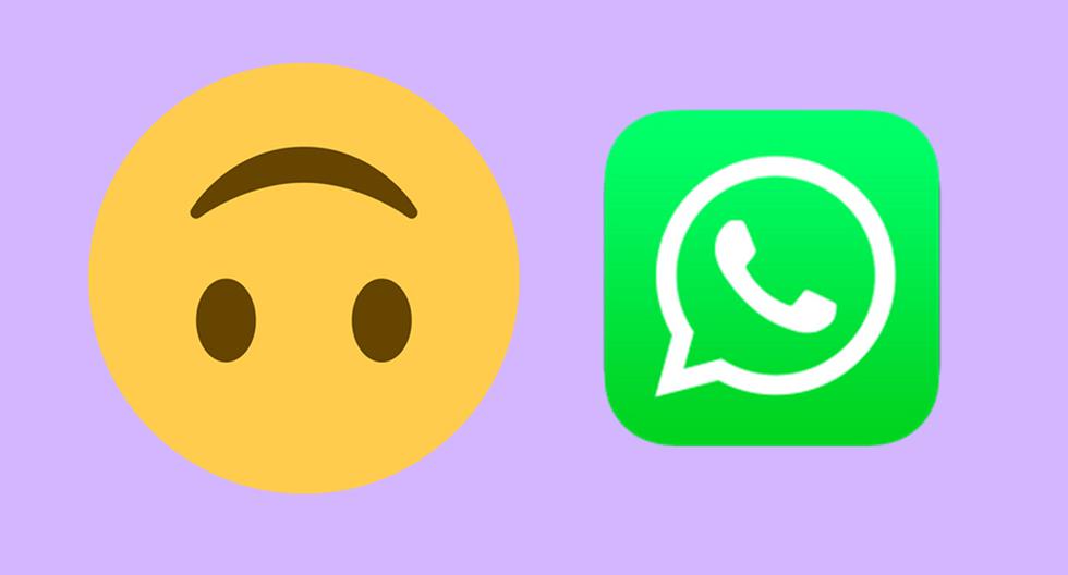 Que significa el icono de whatsapp