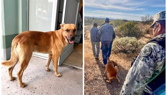 El perro que guió a policías por 3 km hasta su amo de 84 años perdido en el desierto. (Foto: Zona Cero Penínsular | Facebook)