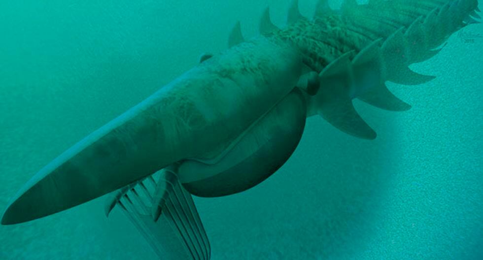 Este es el monstruo marino que vivió en el mar hace 500 millones de años. (Foto: Agencias)