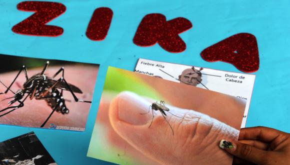 Zika: biotecnología puede ayudar a controlarlo en Brasil