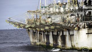 Cómo opera la flota pesquera extranjera y qué es la “ruta del calamar gigante” que ellos persiguen